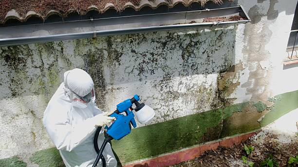 Trusted Crawl Space Mold Removal service in Garfield, NJ - Cheap Mold Removal